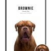 Brownie-1